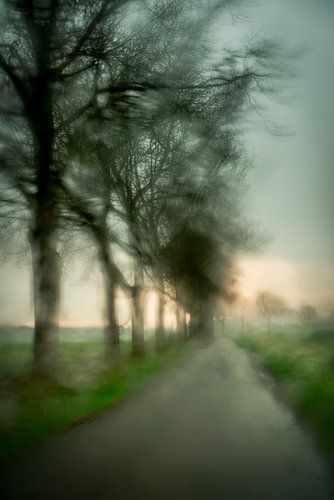 een regenachtige dag