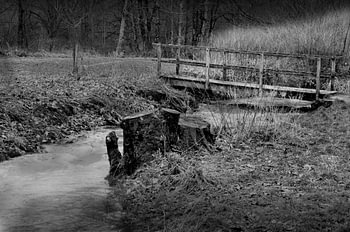 Naturaufnahmen Schwäbische Alb Gönninger Seen im Winter