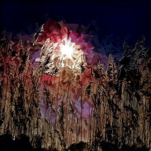 Abstract met zon en riet
