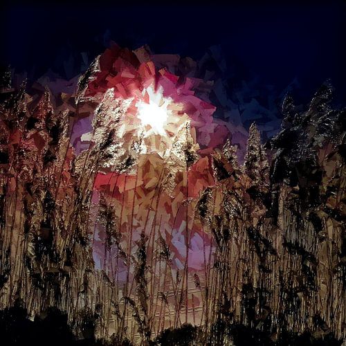 Abstrait avec soleil et roseaux