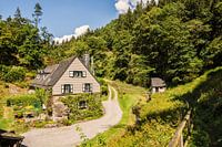Sommer in der Eifel