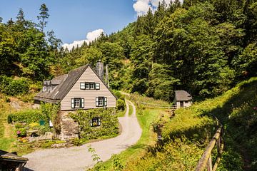 Sommer in der Eifel van Daniel Raab