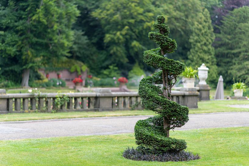 Coaxial conic and spiral pine tree by Digikhmer
