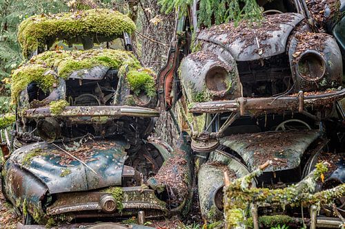 Roestige erfenissen in het bos - autokerkhof in Zweden