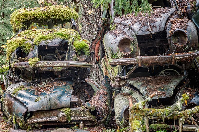 Rostige Hinterlassenschaften im Wald - Autofriedhof in Schweden von Gentleman of Decay