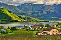 Het Kalternmeer in Zuid-Tirol van Gisela Scheffbuch thumbnail