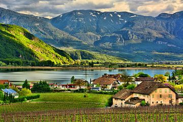 Lake Caldaro in South Tyrol by Gisela Scheffbuch