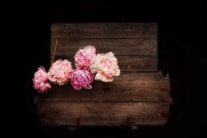 Rustikale Romantik IV - Bauernrosen in einer Vintage Truhe
