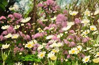 Oase van bloemen in mijn tuin van Corinne Welp thumbnail