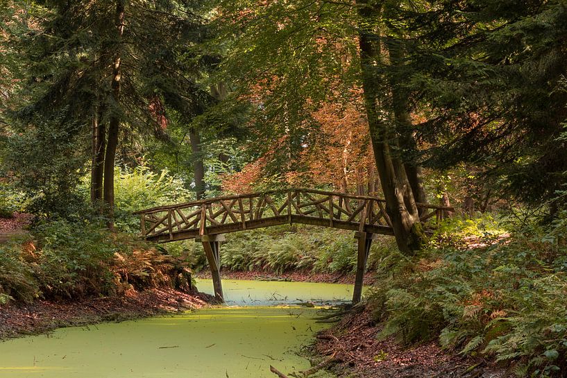 Wooden bridge in the Slochterbos by Marga Vroom