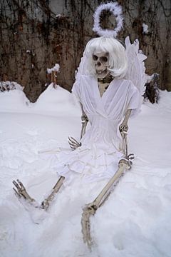 Letzter Engel Skelett eines Engels in weißem Schnee von Babetts Bildergalerie