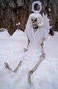 Laatste skelet van een engel in witte sneeuw van Babetts Bildergalerie thumbnail