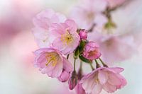 Spring is here again.