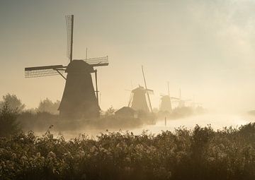 L'aube aux moulins de Kinderdijk