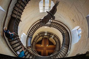 Escalier en colimaçon Jagdschloss Granitz sur Rob Boon