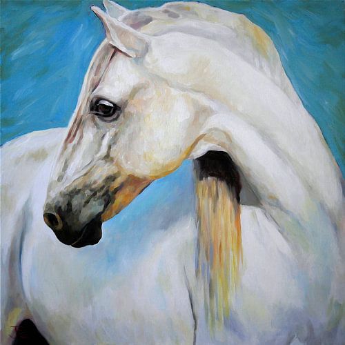 „Lipizzaner“, Kunstdruck vom Originalgemälde von JOARTCOLOGNE