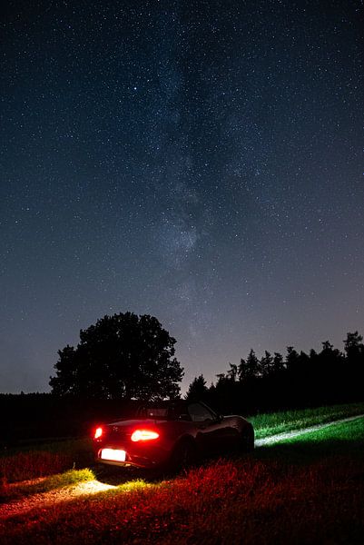 Summer by TomCat photography