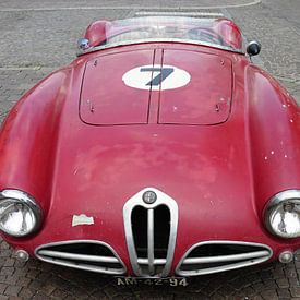 Alfa Romeo barchetta sur Michel van Vliet