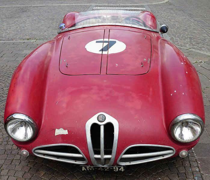 Alfa Romeo barchetta van Michel van Vliet