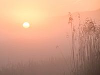 Sunrise in the Schiedam polder