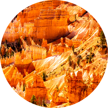 Amfitheater rotsnaalden in het grote erosielandschap Bryce Canyon National Park in Utah USA van Dieter Walther