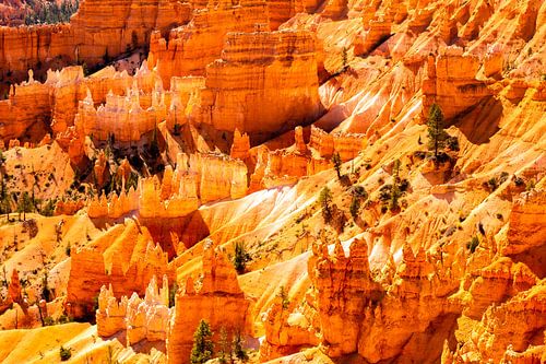Amfitheater rotsnaalden in het grote erosielandschap Bryce Canyon National Park in Utah USA