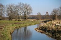 Steenbergerloop