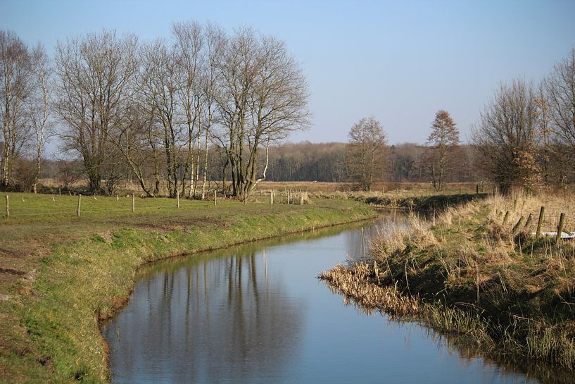 Steenbergerloop par Evert Jansen