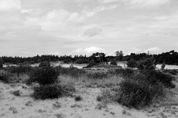Struiken en bomen op een zandverstuiving in zwart-wit van Gerard de Zwaan