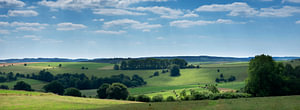 landschap met koeien in de belgische ardennen bij stavelot en trois ponts