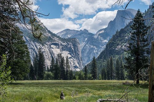 What a wonderful world