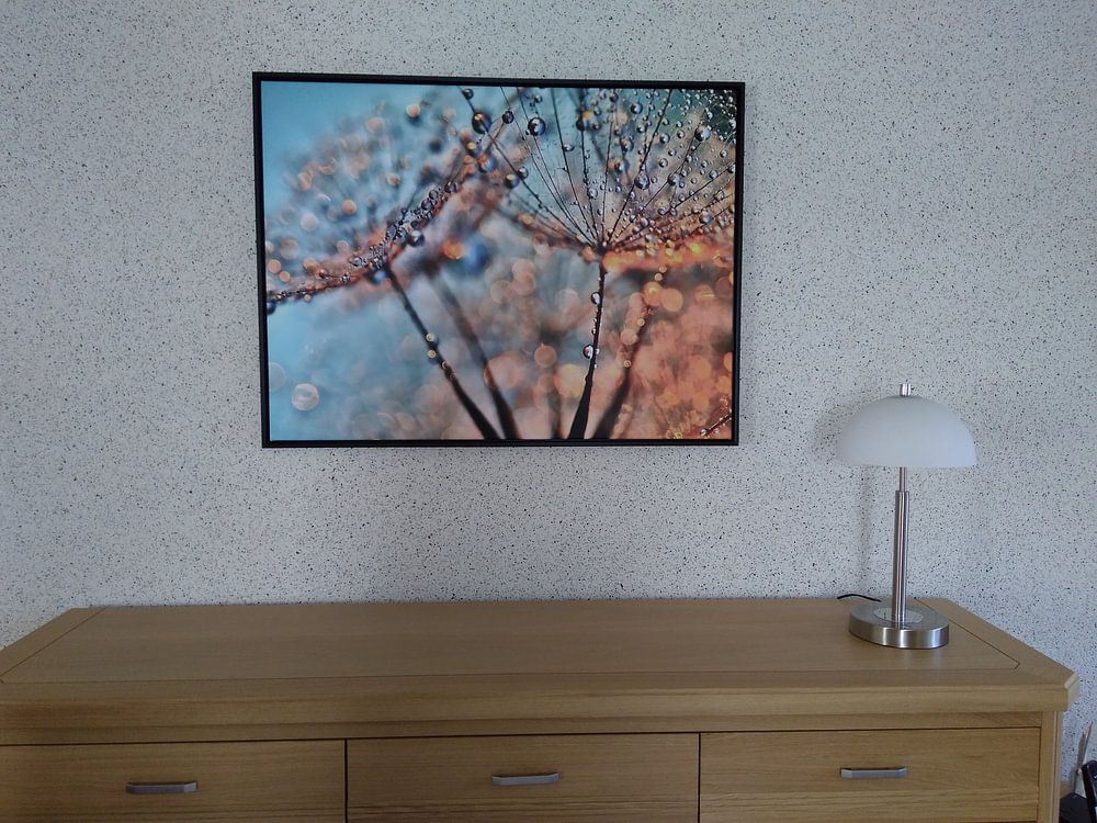 Paardenbloem Licht Reflecties  van Julia Delgado 