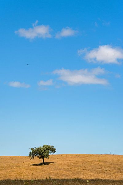 Landschap met een boom en een paar wolkjes in een blauwe lucht von Harrie Muis