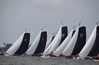Skûtsjesilen by Jelmer Beek thumbnail