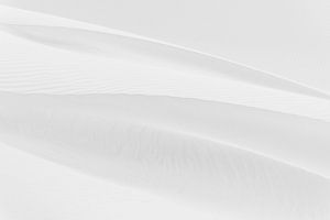 L'art du sable - Dune au Sahara sur Photolovers reisfotografie