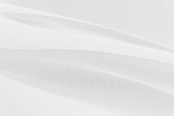 The Art of Sand | Dune in the Sahara by Photolovers reisfotografie