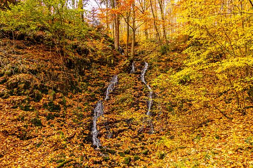 Randonnée automnale à travers le Spittergrund près de Tambach-Dietharz jusqu'à la cascade