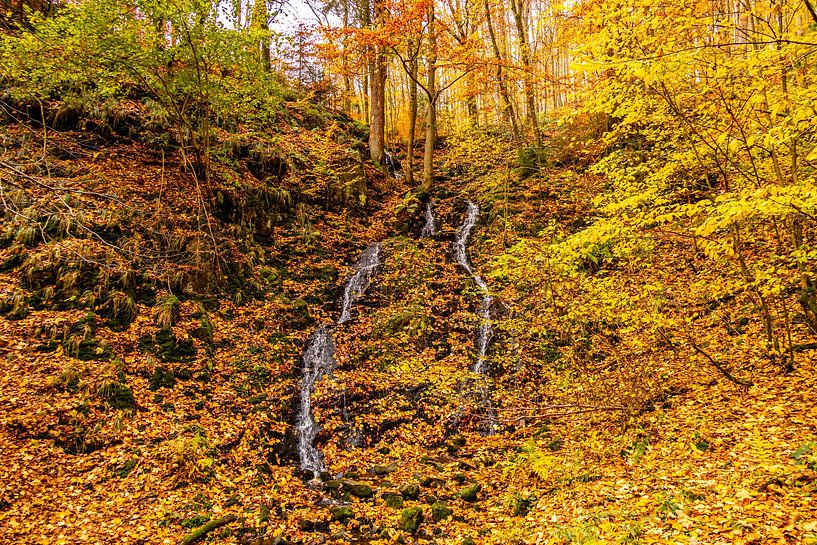 Randonnée automnale à travers le Spittergrund près de Tambach-Dietharz jusqu'à la cascade par Oliver Hlavaty