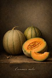 Melon, cantaloupe. by Bert Quaedvlieg