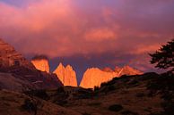 Goodmorning Torres del Paine! van Eefje's Images thumbnail