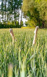 Relaxation by Bernd Friedel