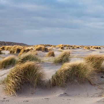 Strand met duinlandschap van Monique Wooning