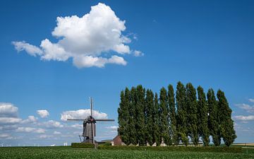 Windmühle, Titz, Nordrhein-Westfalen, Deutschland