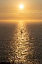 Einsames Segelboot auf dem Atlantik von Peter Haastrecht, van