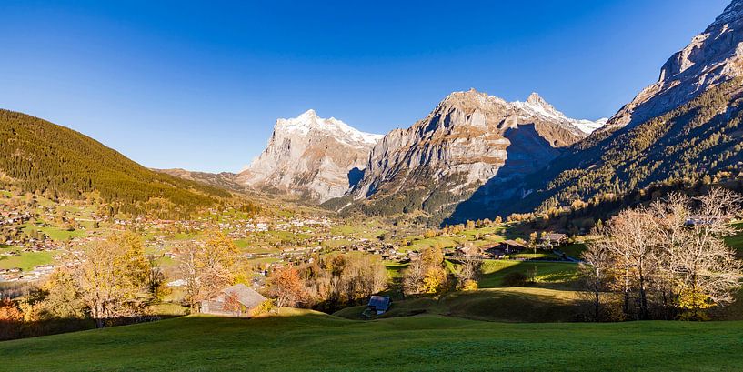 Grindelwald in het Berner Oberland in Zwitserland van Werner Dieterich