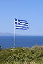 Griechische Flagge auf Zakynthos von Esther Miniaturansicht