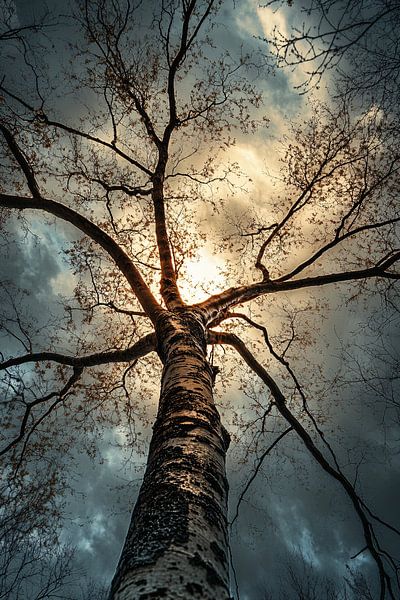 Baum vor dramatischem Himmel von Imperial Art House