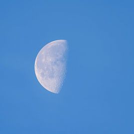 moon by claes touber