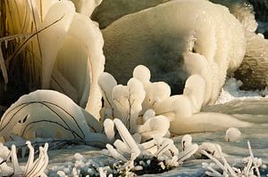 crème glacée sur Geertjan Plooijer