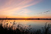 Evening sky over Dannermeer